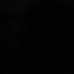 Meet your Posher, Priya